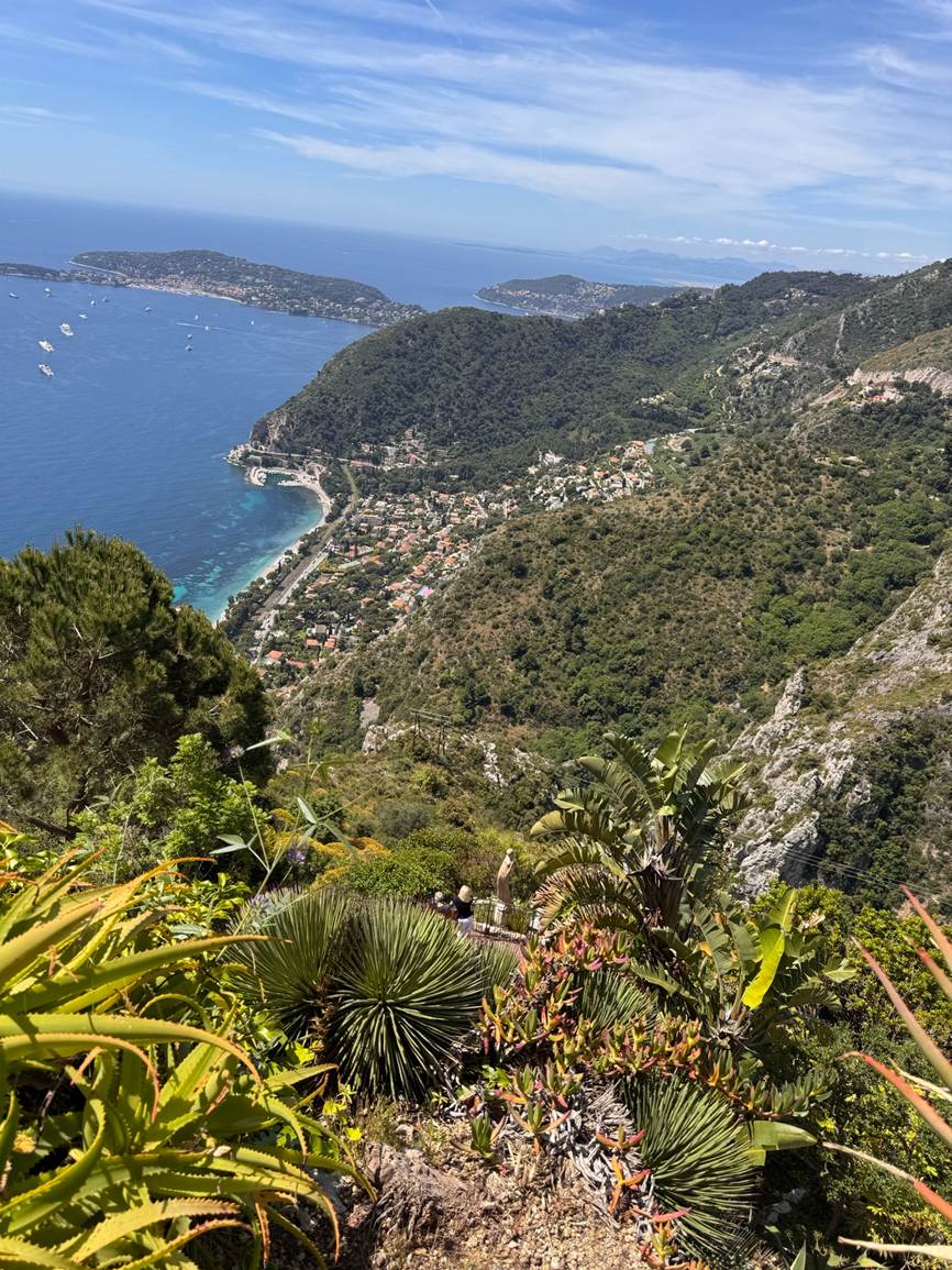 КИНО И ЕКОЛОГИЯ